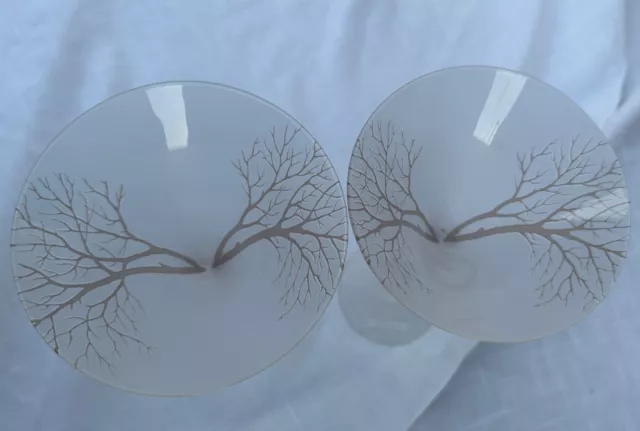 Belvedere Vodka Glasses Martini Frosted tree