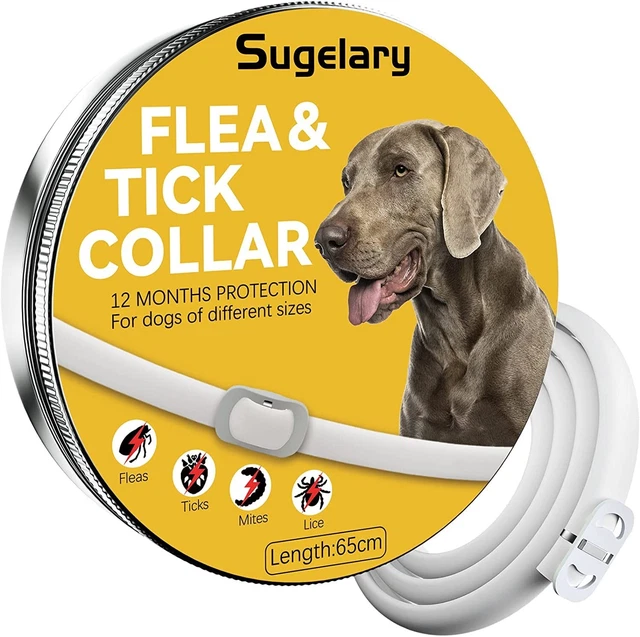 Sugelary Collare antipulci per cani 12 mesi Antiparassitario Tutte le taglie