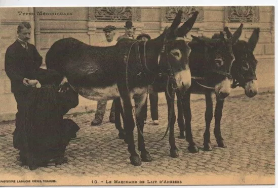 Reproduction CPA - TYPES MERIDIONAUX - LE MARCHAND DE LAIT D'ANESSE