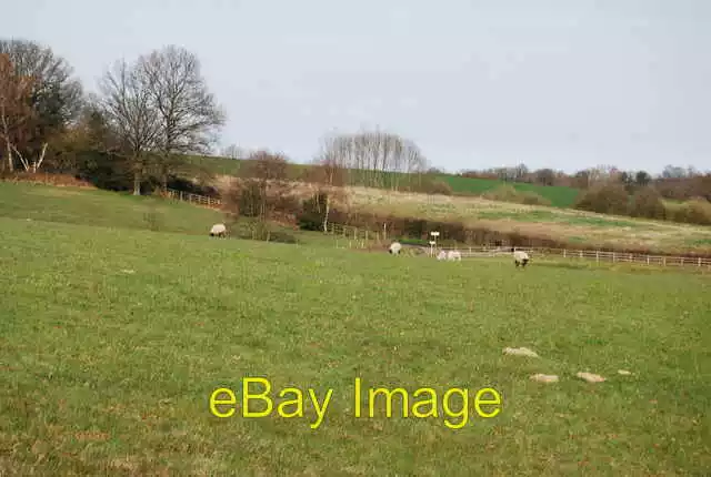 Photo 6x4 Sheep grazing below the Furnace Pond Castle Hill  c2010