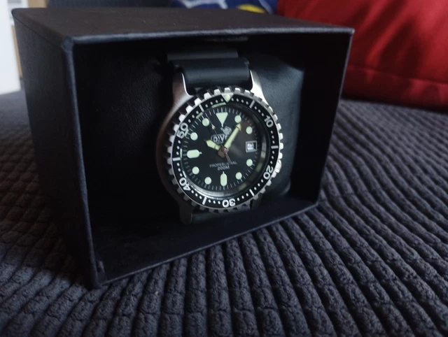 OROLOGIO DIVEX PROFESSIONAL 200m EUR 109,99 PicClick IT