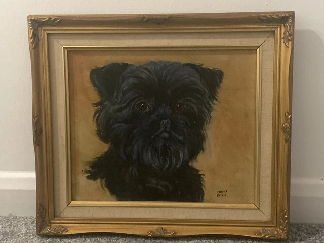 Vintage British AFFENPINSCHER Original Artwork Oil Painting 1/2 Janet Brook