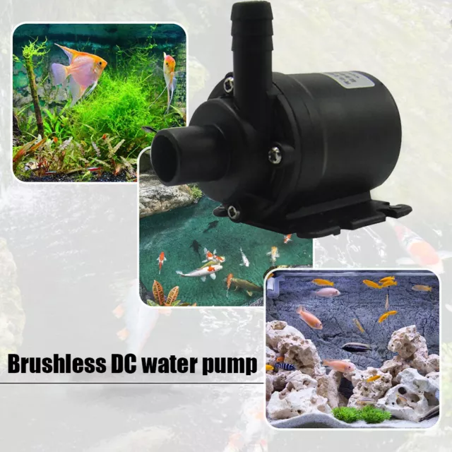 fr 800 L/h Brushless Dc Water Pump Plastic Water Pump Ip68 Waterproof for Founta