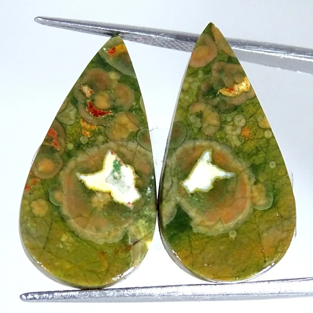 18.50Cts Natürlich Regenwald Jaspis Paar Rhyolite Birne Cabochon Lose Edelsteine