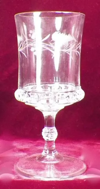Antique Dakota Water Goblet Etched Leaves & Berries EAPG Ripley US Glass Clear