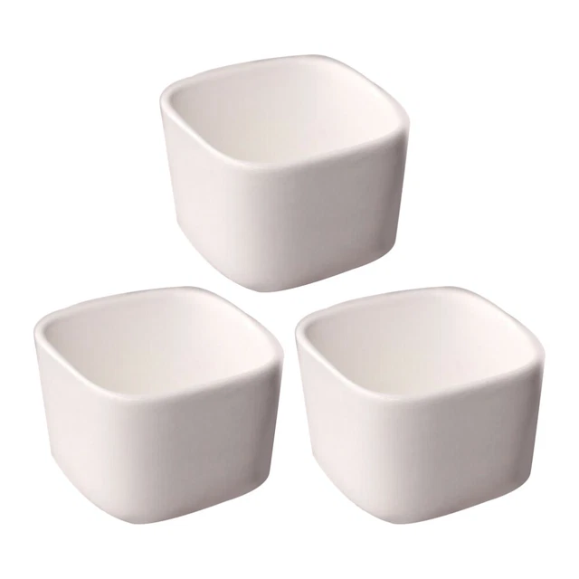 3 PCS/Set Cache-pot Blanc Mini-pot De Plantes Miniature Fleur