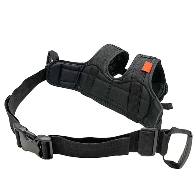 Cinghia di sicurezza equitazione - cinghia di caduta W5M2