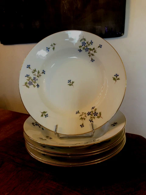 Lot De 6 Assiettes Porcelaine De Limoges – Décor Haute Époque – Style Forêt Noire – 1920-1949