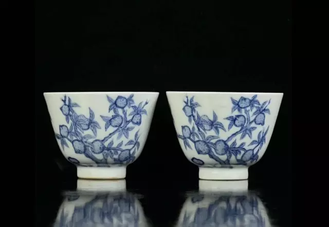 Pair Old Chinese Blue And White Porcelain Bowl Cup Ruoshenzhencang Marked Wx315