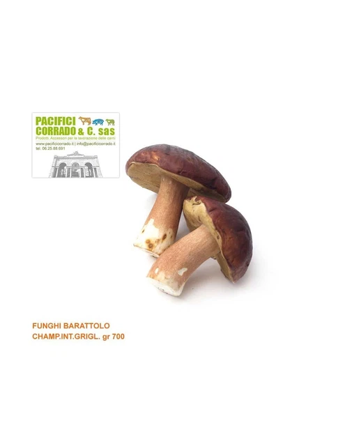 Viander - Funghi Champignon interi grigliati conf.da 700g