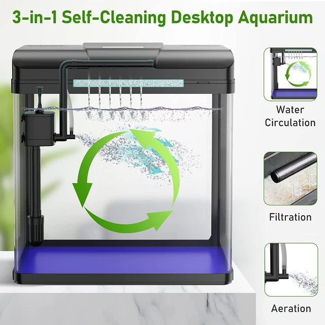 Fish Tank, Glass Aquarium with Air Pump, LED Cool Lights and Filter, Betta Fish 3