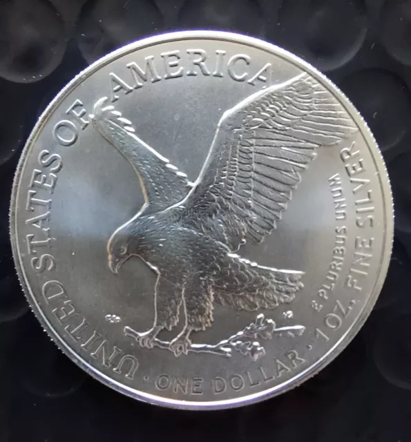 2023 American Silver Eagle Walking Liberty 1oz .999 silver with Capsule