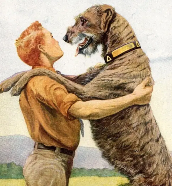 Irish Wolfhound Dog Original Book Plate Art National Geographic c. 1940's