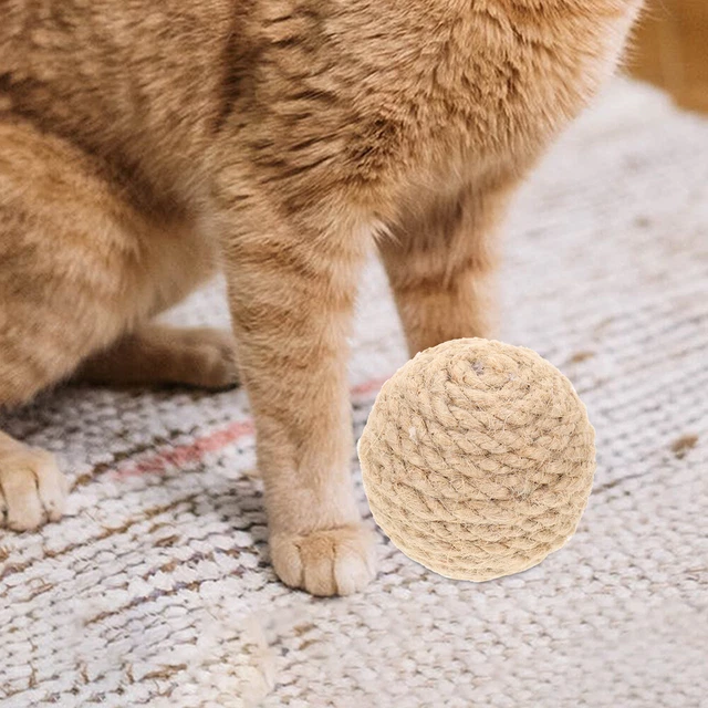 4 Pcs Cat Training Toy Catnip Cat Scratch Indoor Toys Sports Toys Kitten 5