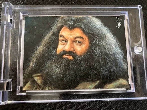 HARRY POTTER ROBBIE Coltrane Rubeus Hagrid Sketch Card Jason Potratz