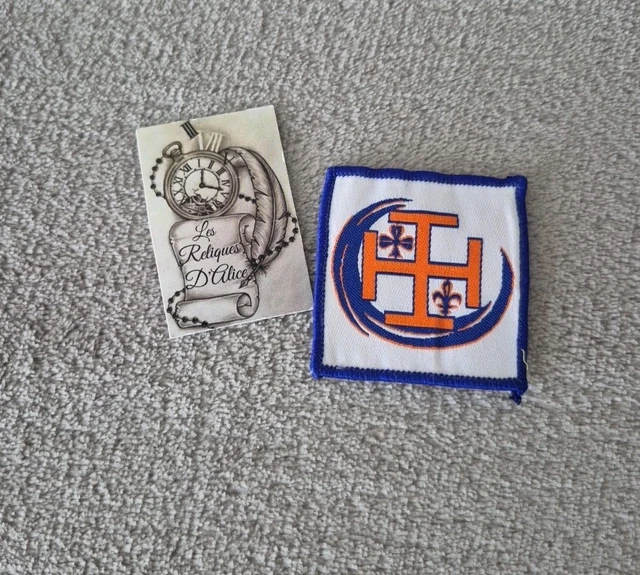 Broche / écusson Scout De France En émail Bleu Avec Fleur De Lys - Occasion, Métal émaillé, Origine France