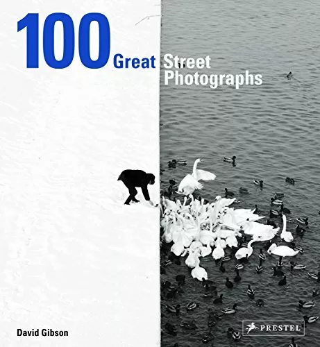 100 tolle Straßenfotos von David Gibson, NEUES Buch, KOSTENLOSE & SCHNELLE Lieferung, (H
