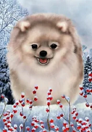 Winter House Flag - Cream Sable Pomeranian
