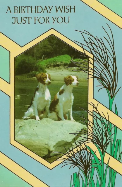 Open Happy Birthday Vintage Greeting Card Brittany Retriever Dogs Male Female