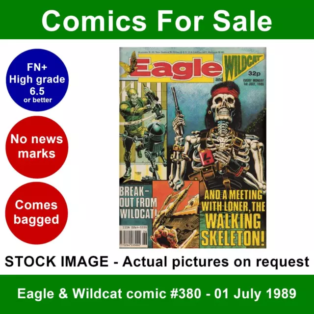 Eagle & Wildcat comic #380 - 01 July 1989 - IPC - Nice (FN+) no writing