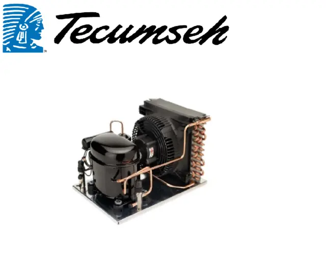 Tecumseh CELSEON Indoor 1/4 HP ~ LBP ~ 60Hz ~ 115V ~ 1PH / AE2410Z-AA1ASC