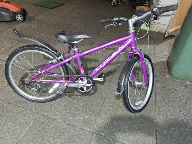Ridgeback dimension 20 purple hotsell
