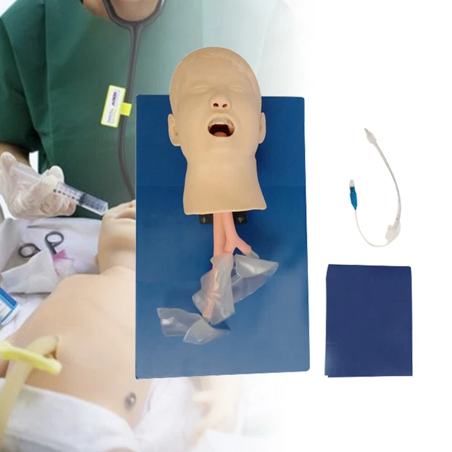 Manikin Teaching Study Model Child Intubation Model Airway Management Trainer US
