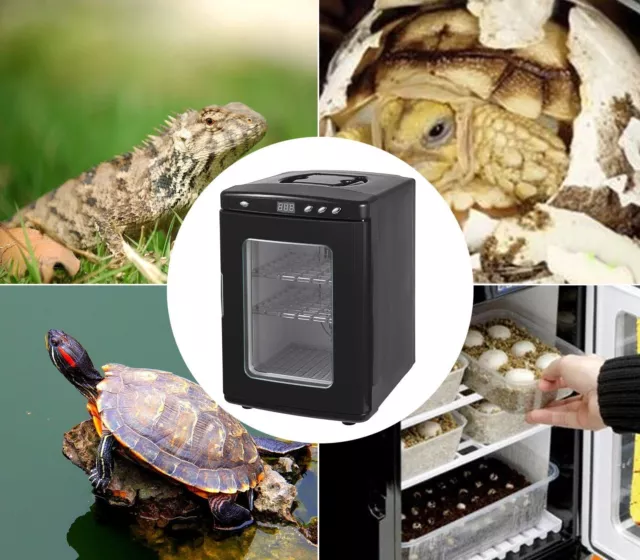 Incubateur VEVOR Reptiles Couveuse 25 L : Température Constante 5 °C à 60 °