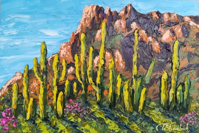 Desert Arizona Original Oil Painting Cactus Landscape Hand Painted Sky Art 12x8