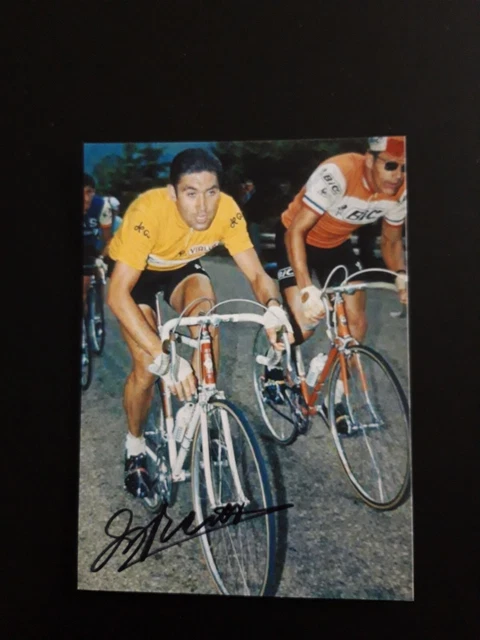 World Service - Sporting Witness, Eddy Merckx - Tour De France Legend