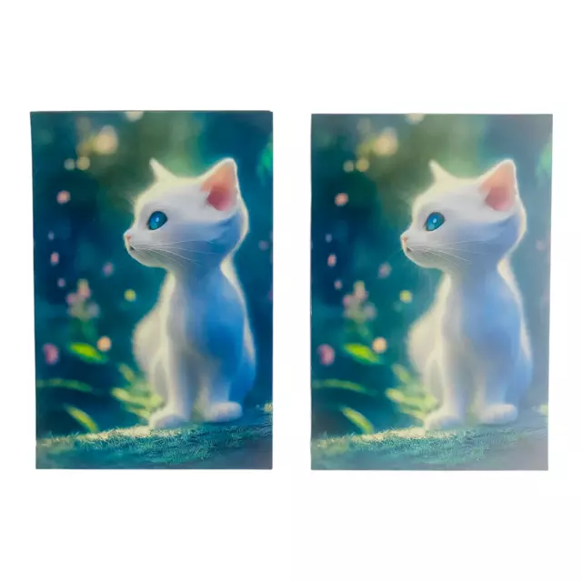 4x6 Photo Magnet Prints White Cat Kitty Blue Eyes Ragdoll Kittens Set of 2