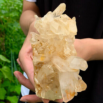 445G    A+++Large Natural white Crystal Himalayan quartz cluster /mineralsls