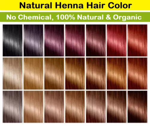 100% Organic Henna Hair Dye Color Chemical Ammonia Free Natural Chose Color