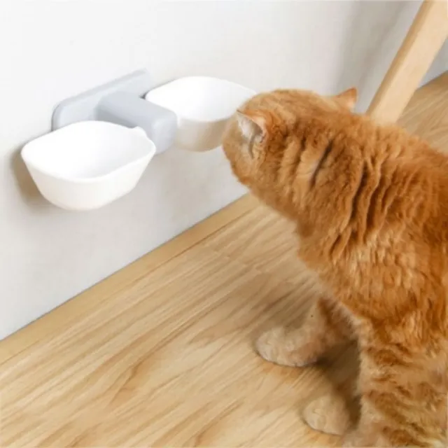 Contenedor de comida extraíble extraíble para gato tazón de agua para cachorro gatito