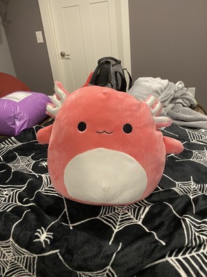 pink axolotl squish mellow pink axolotl squish mellow