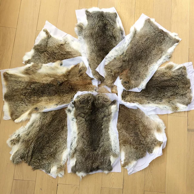5X Real Rabbit Skin Pelts Natural Animal Fur Hides Soft Tanned Leather Craft DIY 5X Real Rabbit Skin Pelts Natural Animal Fur Hides Soft Tanned Leather Craft DIY