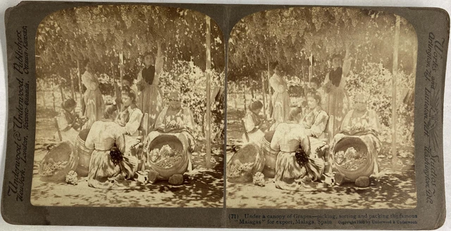 Photo Ancienne Bateau à Malaga - Tirage Albuminé Vers 1890 - Format 8x11 Cm