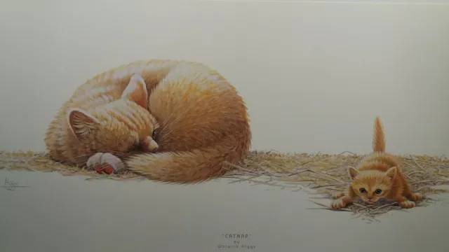 catnap by Warwick higgs cat kittens