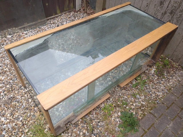 tank aquarium fish gerbils 