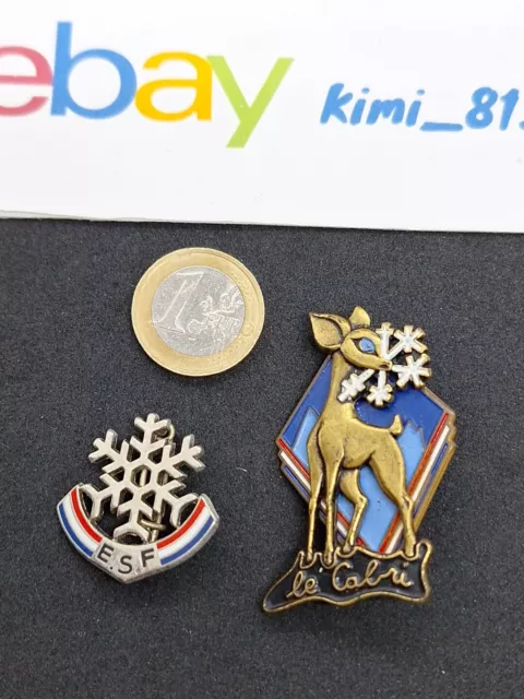 Broche médaille ESF insigne ski vintage divers