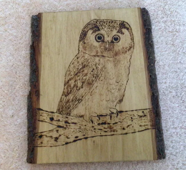 Basswood Saw-whet Owl wood burn art pyrography 9x11” solid live edge hand burned