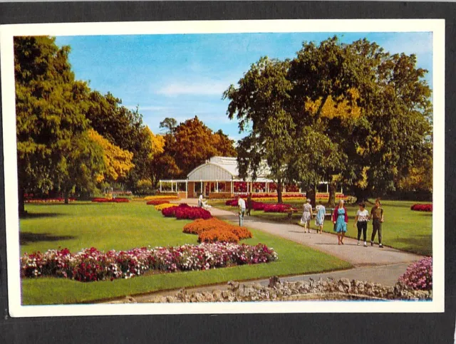 B3192 Australia V Ballarat Begonia House Botanic Gardens Rose Series postcard