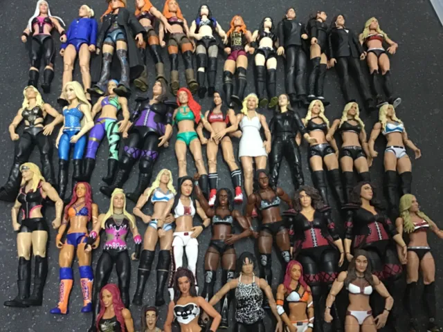 Wwe Wrestling Figures Mattel Divas Women Elite / Jakks Wwf Choose A Wrestler