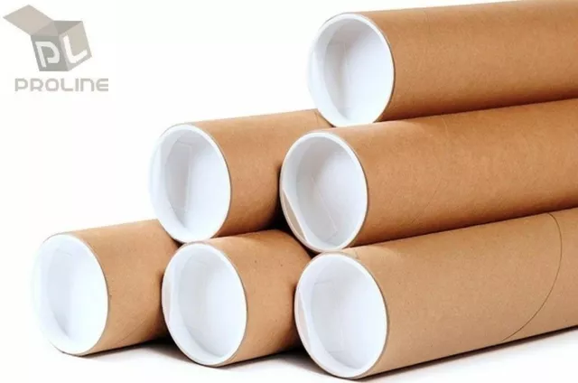 Premium Kraft Mailing Shipping Tubes with Plastic End Caps 3" x 12"