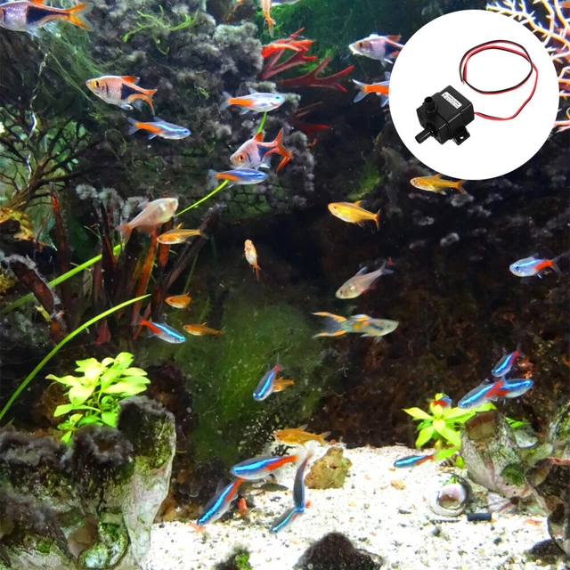 Mini Pompa Dell'Acqua,4 Pezzi Mini Pompa Acqua Sommergibile,180L/H,3W,220V-240V,50/60hz Pompa Per Acquario,Pompa Fontana Acquario Per Acquari,Fontane,Statue - 7