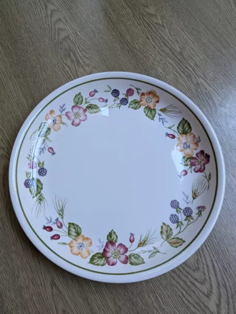 Vintage Biltons Country lane dinner plate 9 3/4" excellent condition