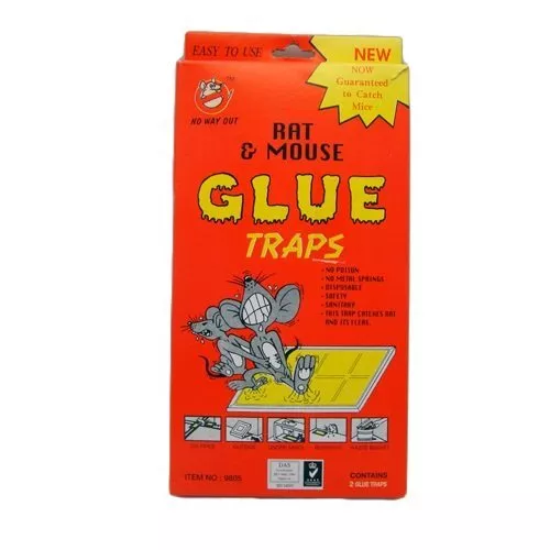 Wholesale Rat & Mouse Glue Traps 2pk Box