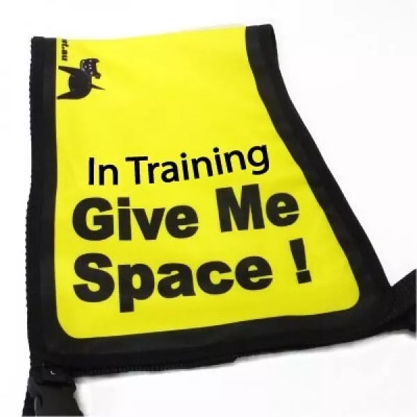 Black Dog "Give Me Space" Awareness Vest for Dogs - Medium