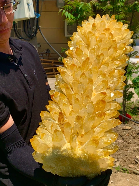 60.45LB  New Find yellow Phantom Quartz Crystal Cluster Mineral Specimen Healing 17