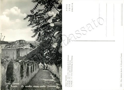 Cartolina delle Isole Tremiti, San Nicola - Foggia